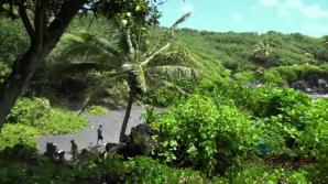 Chloe gets off in the car so many times.