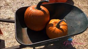 Lily Adams Halloween POV